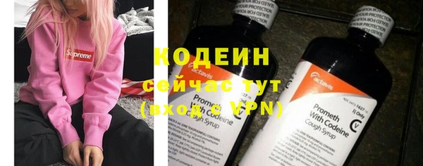 дурь Лагань