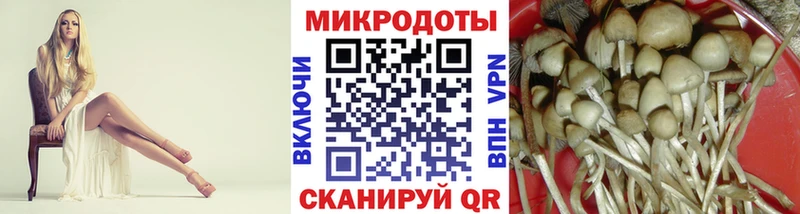 магазин Магас дарк нет телеграм Псилоцибиновые грибы ЛСД kraken как зайти